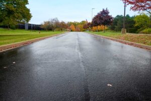 A wet, empty road stretches forward, bordered by grassy lawns and autumn trees. The scene is overcast, with fallen leaves scattered along the curbs, creating a serene suburban atmosphere.
