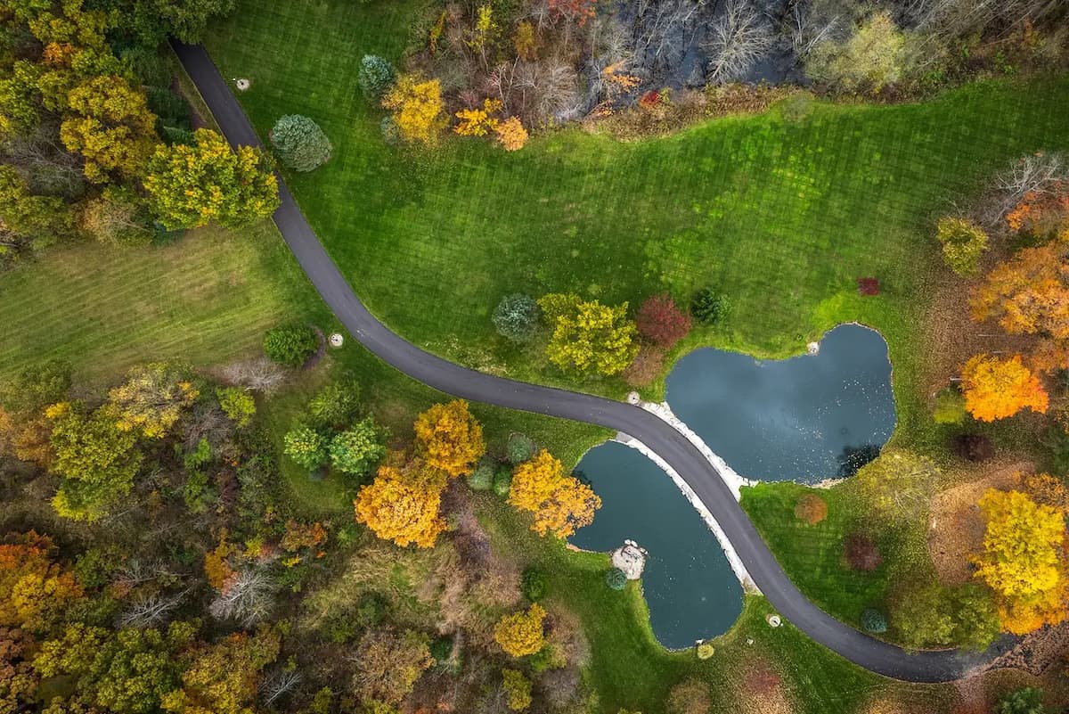 An aerial view of a lush green first with colorful trees, green grass, and a road that runs right through the center.