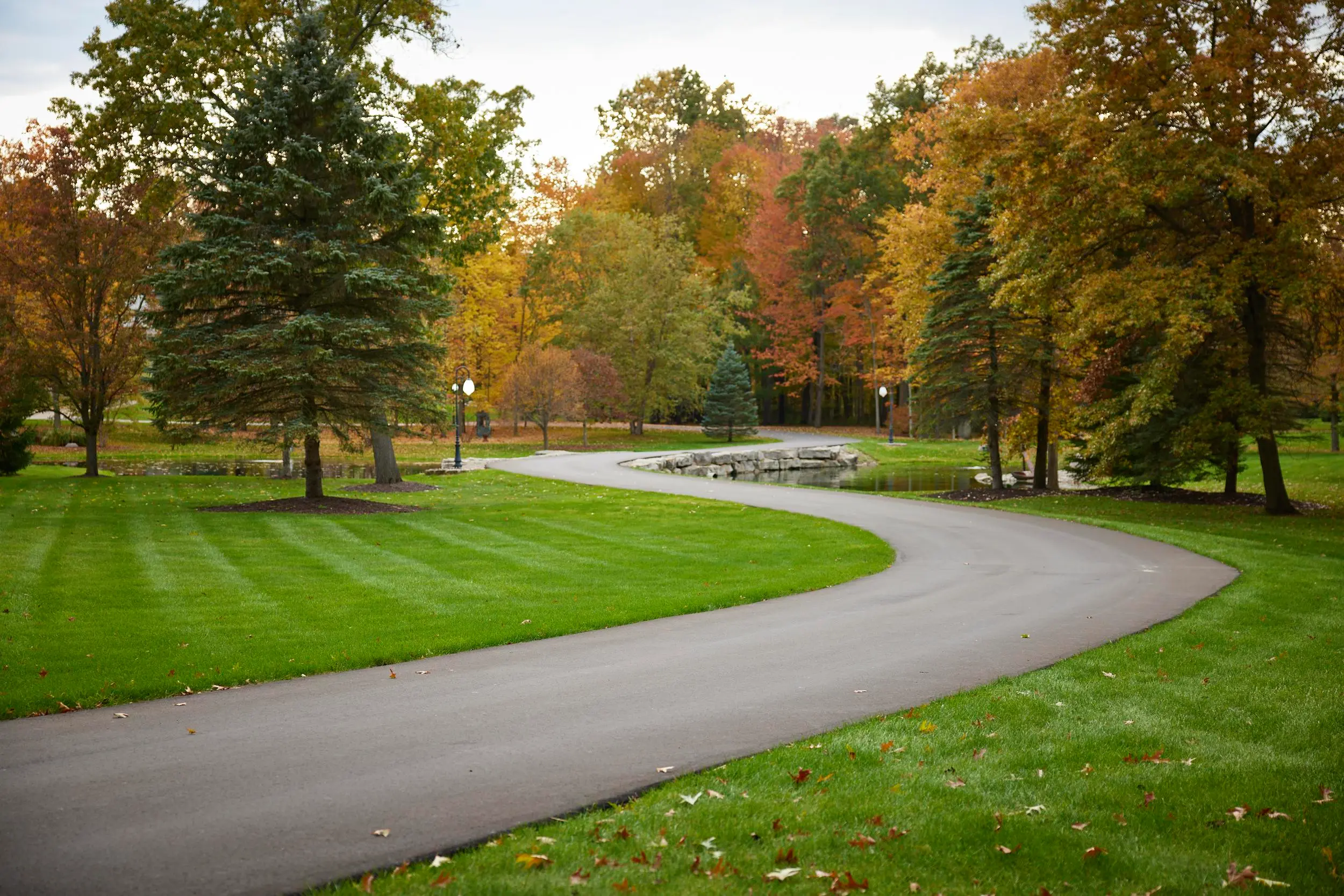 Paved asphalt road curving through a park in Brighton, MI, with a mature tree planted at the center island.