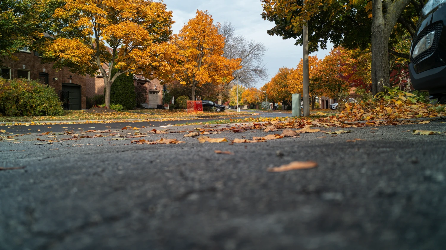 Low Shot Of A Well Maintained Driveway On A Fall Day